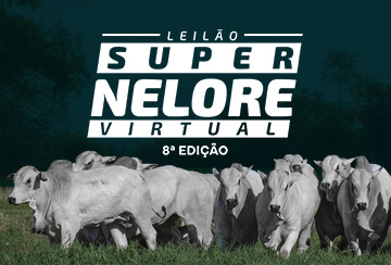 LEILÃO VIRTUAL SUPER NELORE - 8ª EDIÇÃO